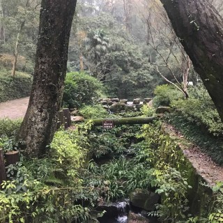 长沙34.jpeg