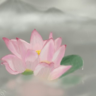 很多的花莲花 莲蓬 小雨 山峦 中国风 高清壁纸-墨鱼部落格.jpg