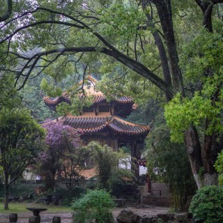岳麓书院13.jpeg