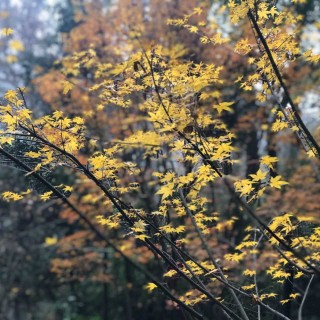 长沙35.jpeg