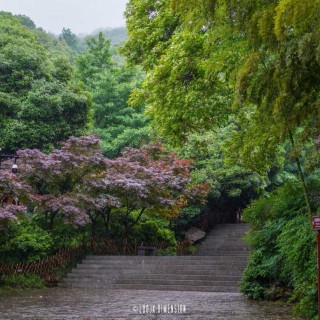 岳麓书院03.jpeg