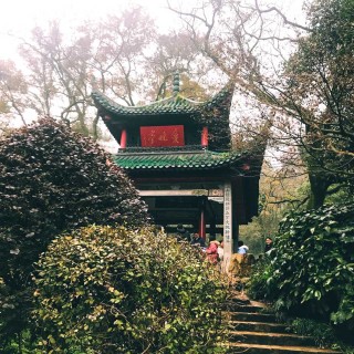长沙36.jpeg